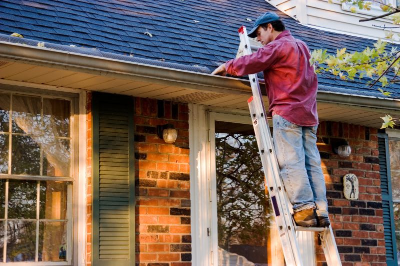 Professional Gutter Service Providers